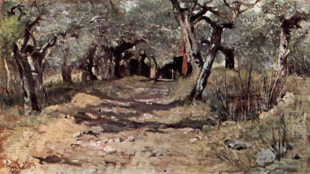 Camino de tierra en el olivar