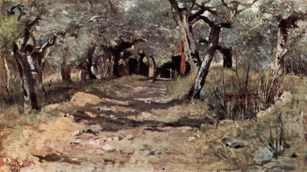 Dirt Road in the Olive Grove 