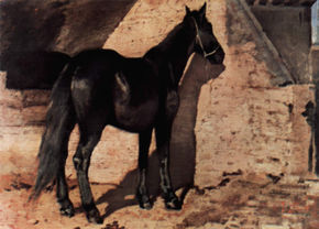 Caballo negro al sol