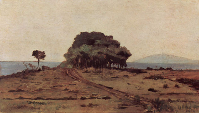 Little Forest by the Sea