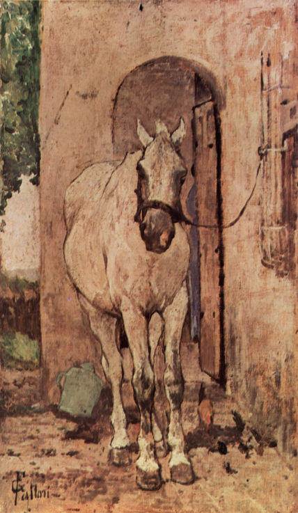Caballo blanco...
