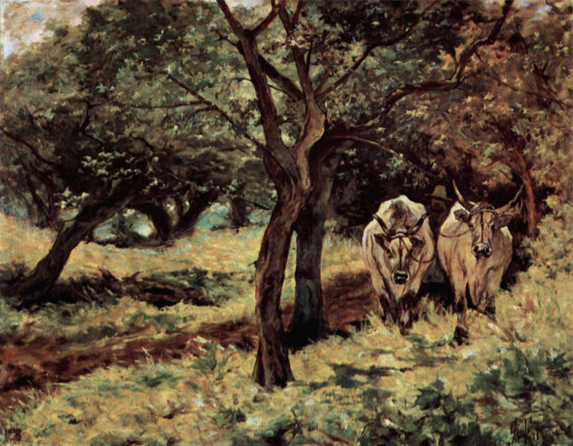 Two Oxen in the Olive Grove 