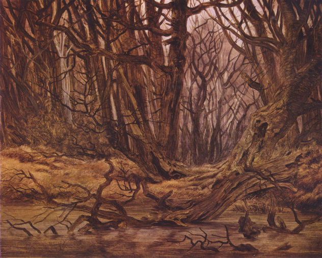 Wals in Late Autumn (Forest Water, Autumn Forest)
