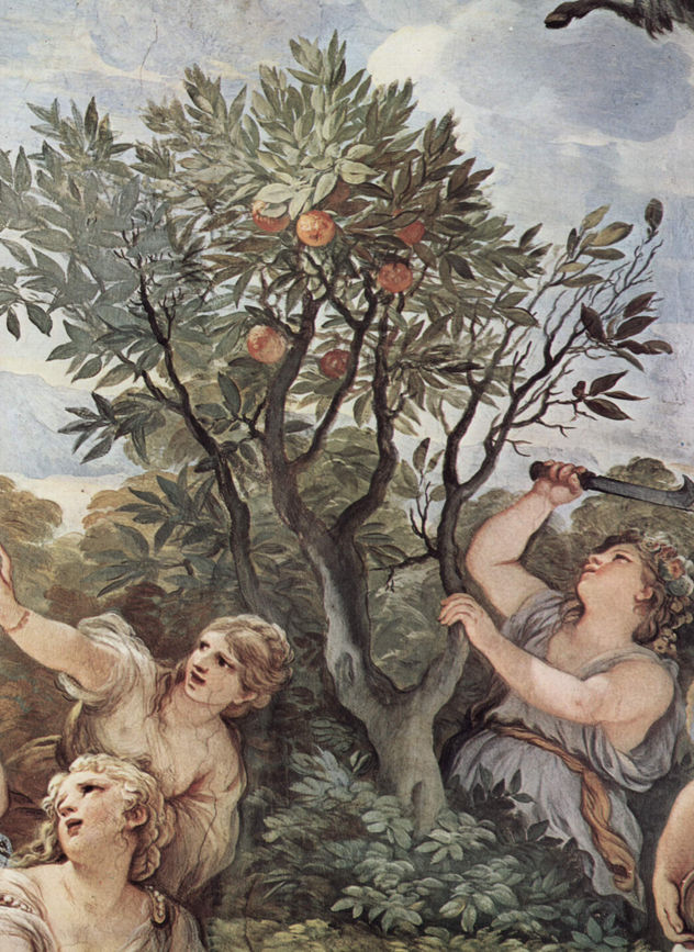 Frescos en la Galería del Palacio Medici-Riccardi en Florencia, escena