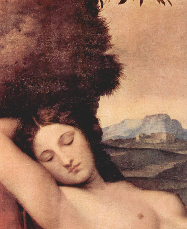 Schlummernde Venus, Detalle