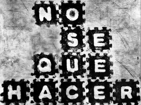 Nose