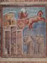 Cycle of Frescoes of the Life of Saint Francis of Assisi, Scene