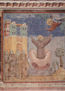 Fresco Cycle on the Life of St. Francis of Assisi, Scene