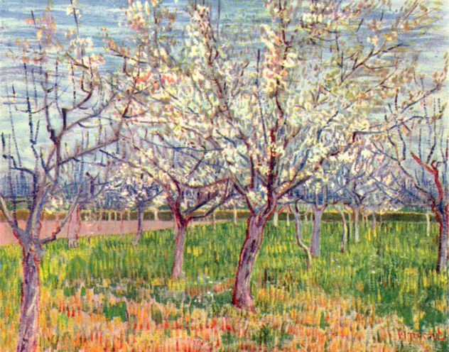 Huerto en flor