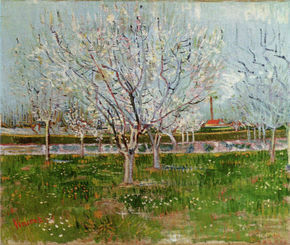 Orchard in Bloom