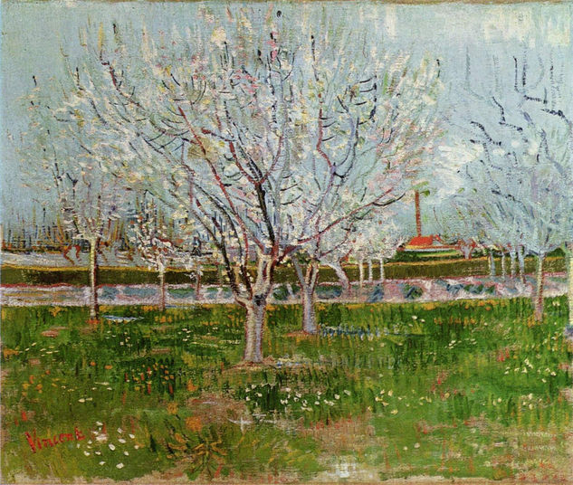 Orchard in Bloom 