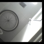 Tengo a Duchamp en mi baño thumbnail 2