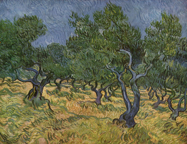 Pareja en un paseo por el bosque