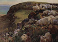 Our English Coast (Lost Sheep)