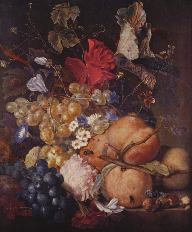 Fruits, Flowers, and Insects