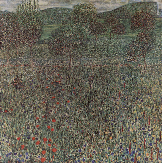 Field in Bloom 