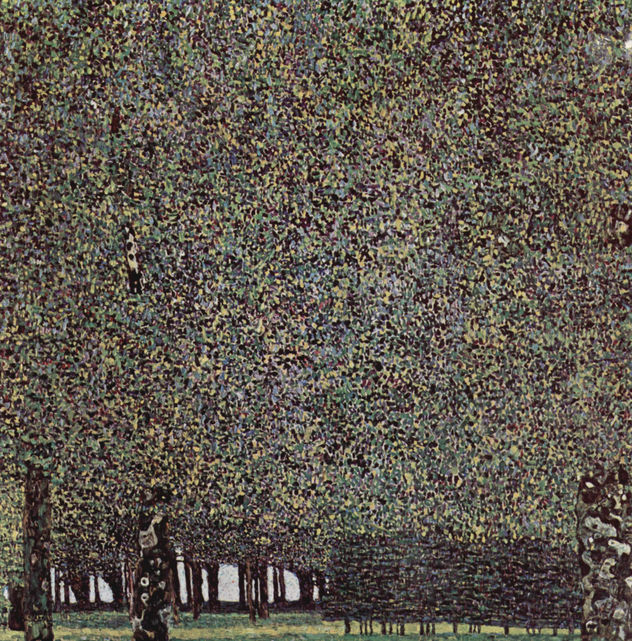 El parque