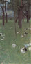 Garden with Chickens in St. Agatha