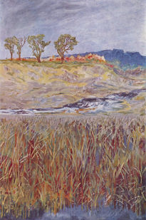 Landscape on the...