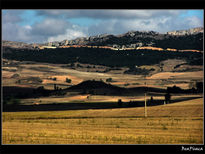 Desde el tren IV