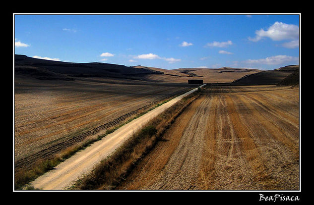 Desde el tren VIII Travel Alternative techniques