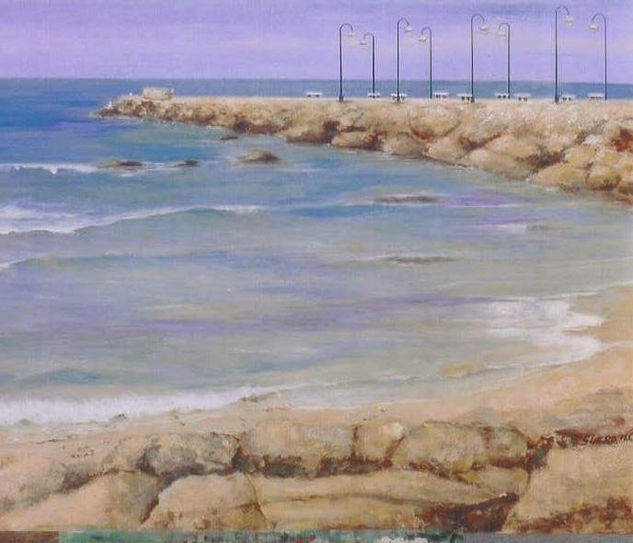 "Playa de la Costilla  ROTA" 