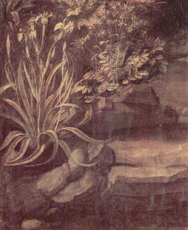 Virgin of the Rocks, scene
