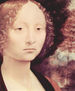 Retrato de una noble (¿Ginerva Benci?), detalle