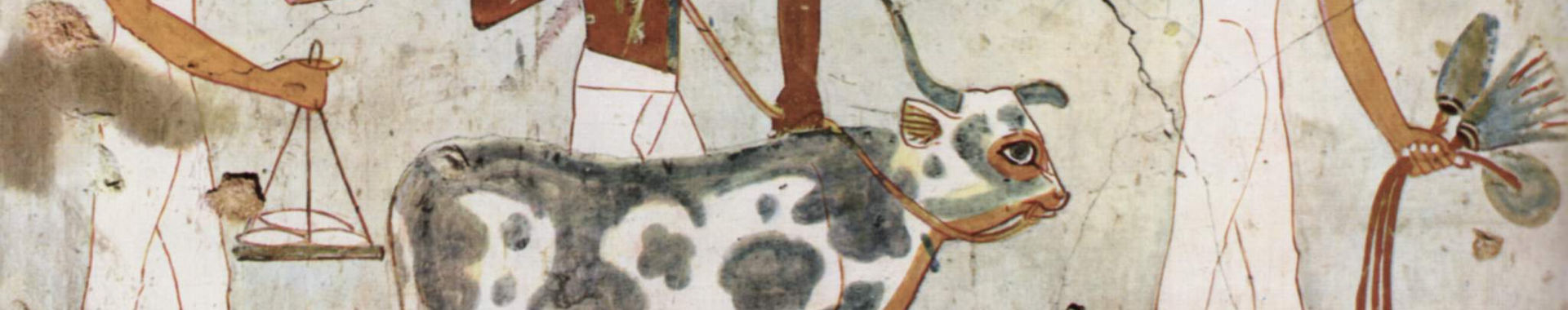 Imagen de portada