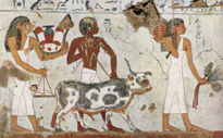 Funerary Chamber of...