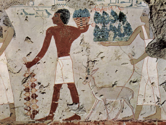 Cámara funeraria de Amenemhêt, alto oficial bajo el gobierno de Tutmosis III, escena