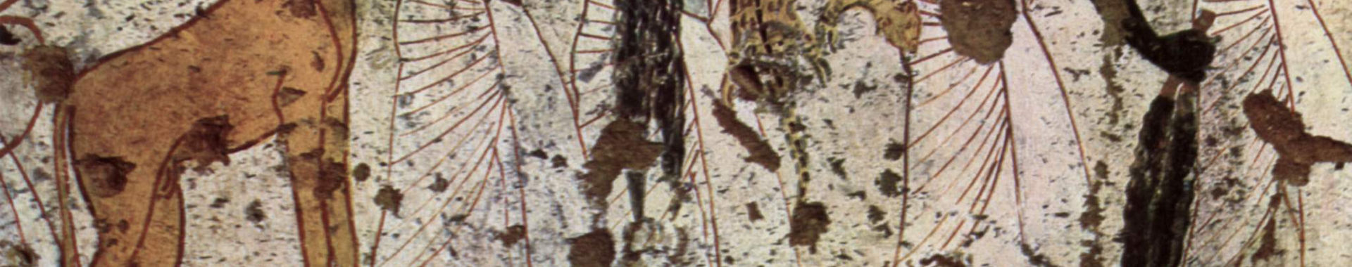 Imagen de portada