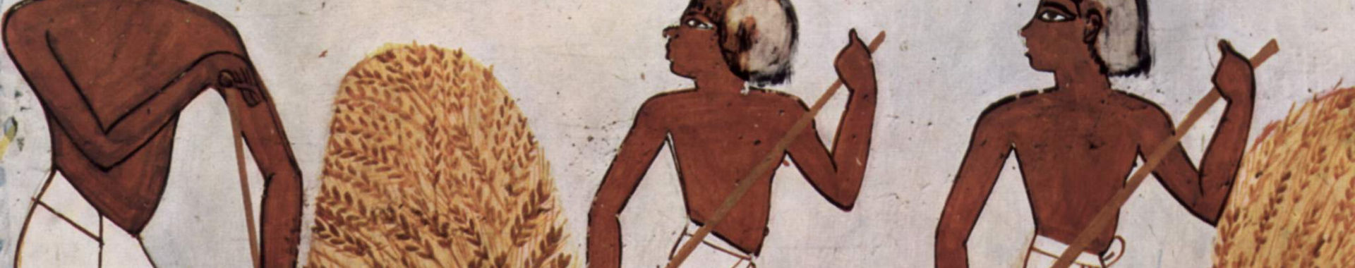 Imagen de portada