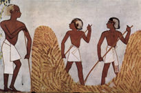 Tomb of Menna,...