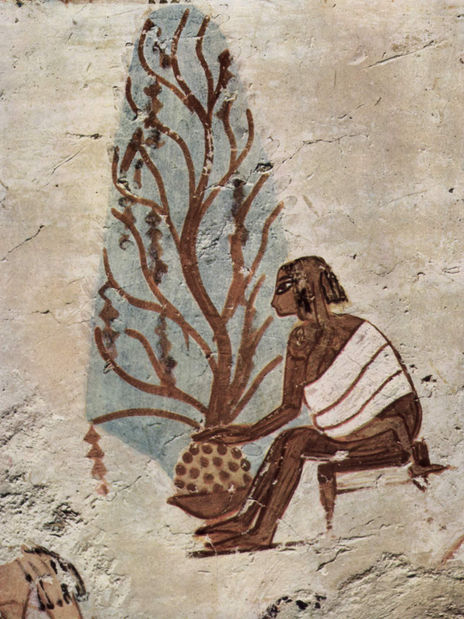 Tomb of Menna,...