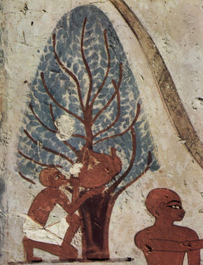 Tomb of the Night,...