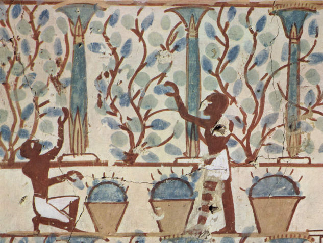 Cámara funeraria de Nebamun, miembro del ejército bajo Tutmosis IV, escena 