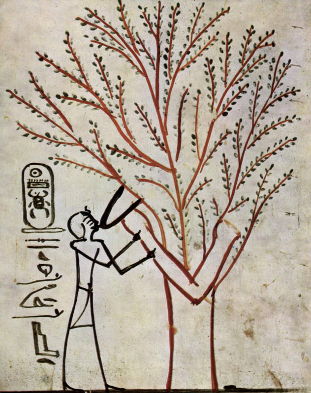 Cámara funeraria de Tutmosis III, escena