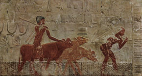 Tomb of Ti, Scene