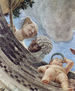 Cycle of frescoes in the Camera degli Sposi in the Ducal Palace of Mantua, ceiling fresco, detail