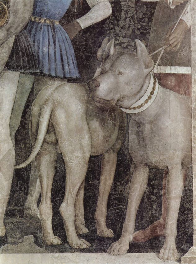 Ciclo de frescos en la Camera degli Sposi en el Palacio Ducal de Mantua, escena