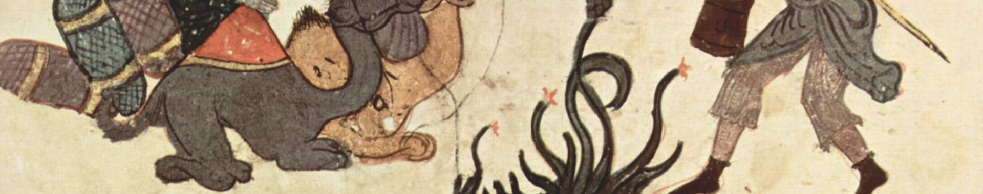 Imagen de portada