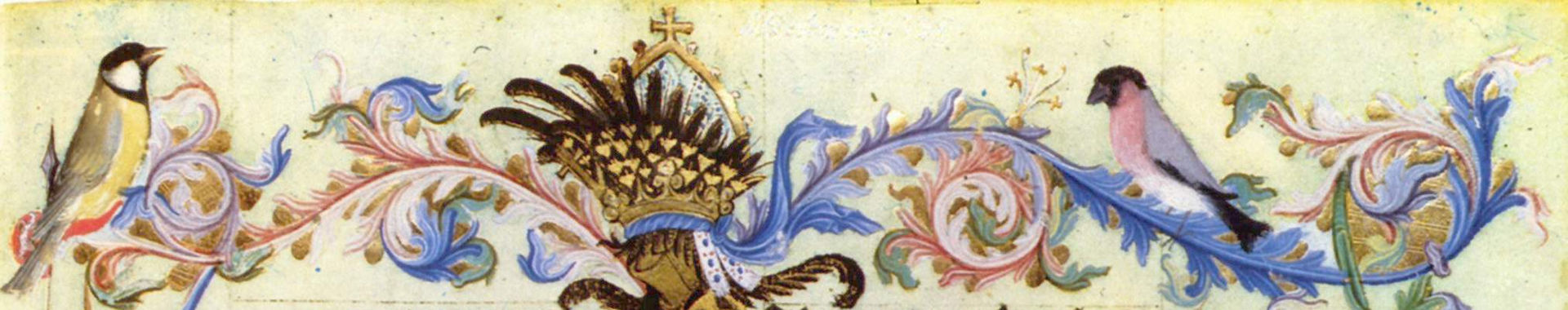 Imagen de portada