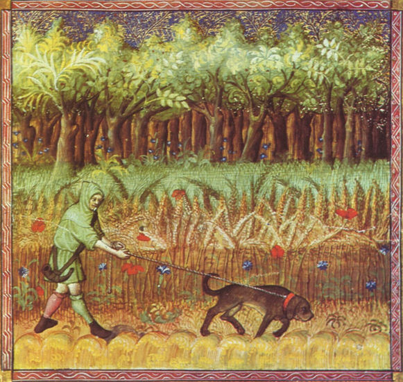 Book of the Hunt, scene 