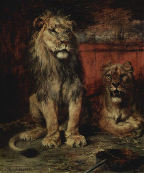 Lions