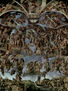 The Last Judgment, fresco on the altar wall of the Sistine Chapel, overview