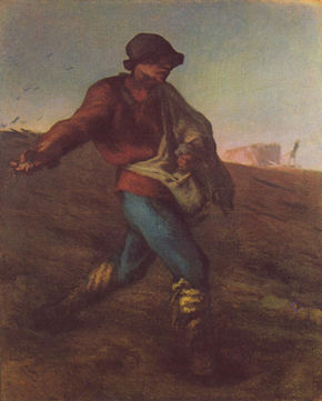 Sower