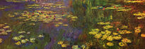 Water Lilies