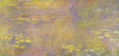 Nenúfares (Nirvana amarillo)