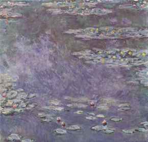 Water Lilies